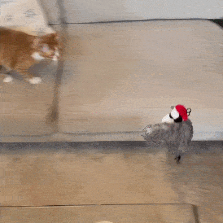 The Official - Flappy Bird Toy